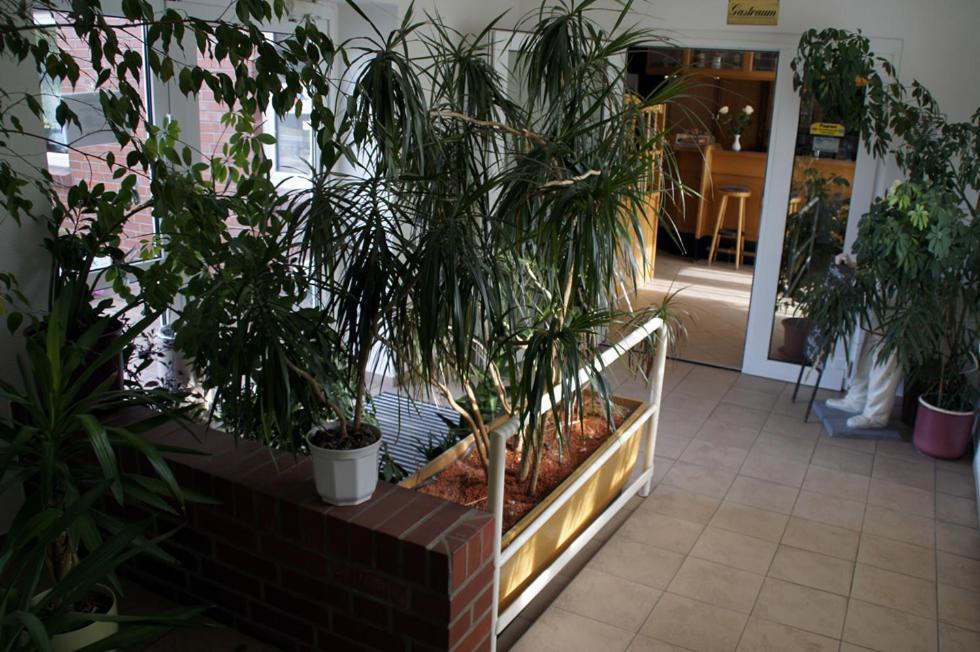 Landhotel Pagram-Frankfurt/Oder Frankfurt  Екстер'єр фото